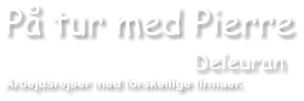 P tur med Pierre                                                          Deleuran Arbejdsrejser med forskellige firmaer.